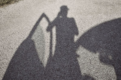 Shadow of man on road