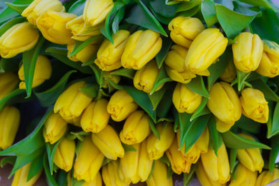 Full frame shot of yellow flowers