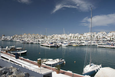 Sailboats moored in harbor