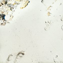 Close-up of sand on beach