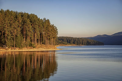 Scenic view of lake by trees against sky