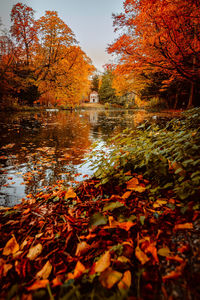 Scenic view of lake in forest during autumn