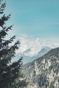 Low angle view of tree mountains against sky