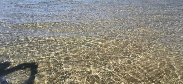 Low section of person on beach