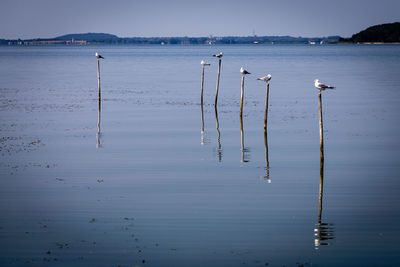 Scenic view of lake