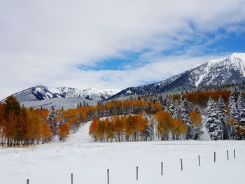 Snow covered landscape against sky