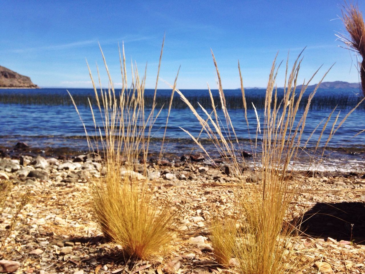 water, sea, beach, tranquil scene, tranquility, blue, shore, horizon over water, beauty in nature, scenics, nature, sand, sky, idyllic, clear sky, calm, day, outdoors, remote, coastline