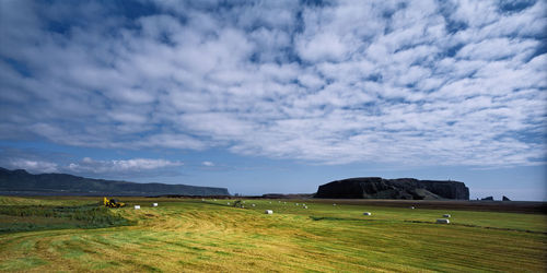 Agricultural field below the cliff of dyrhólaey in south iceland