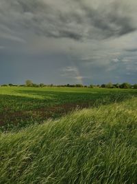 Scenic view of field against sky