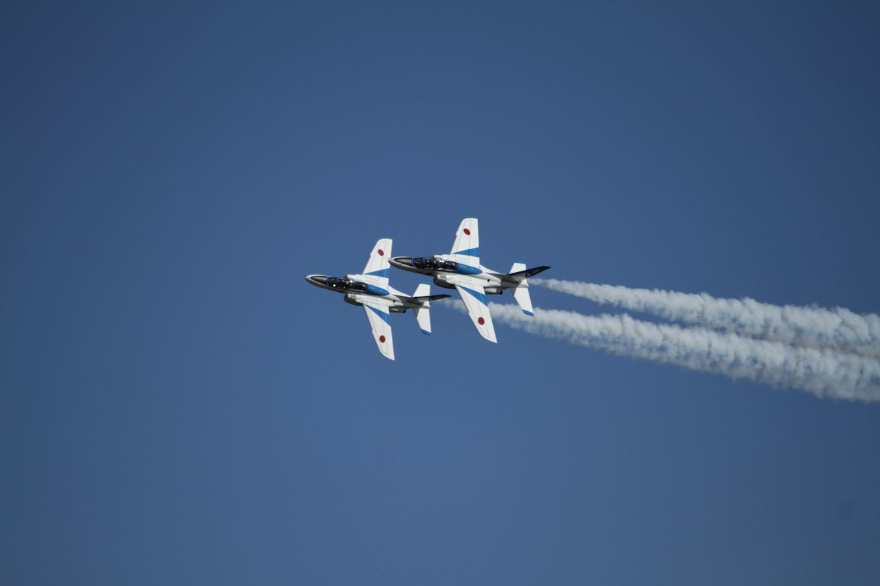 flying, clear sky, copy space, blue, low angle view, animal themes, mid-air, transportation, bird, animals in the wild, wildlife, mode of transport, spread wings, on the move, airplane, air vehicle, nature, day, outdoors, no people