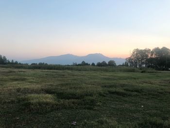 Scenic view of field against clear sky during sunset