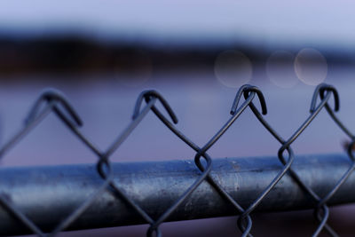 Close-up of chainlink fence