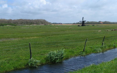 Scenic view of agricultural field against sky