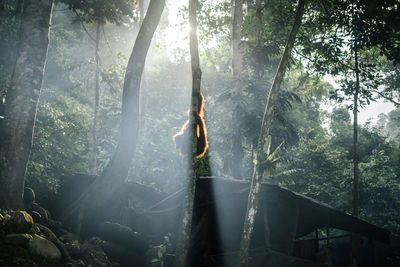 Woman standing by plants in forest