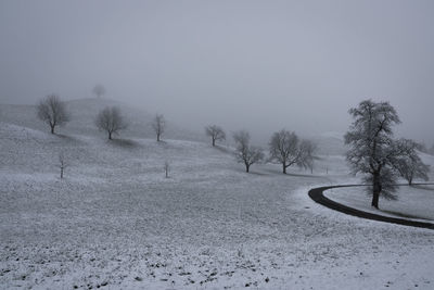 Bare trees on snow landscape against clear sky