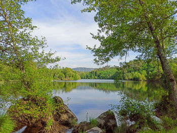 Scenic view of lake by trees against sky