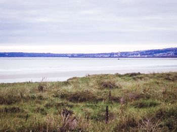 Scenic view of beach against sky