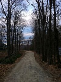 Empty road along bare trees