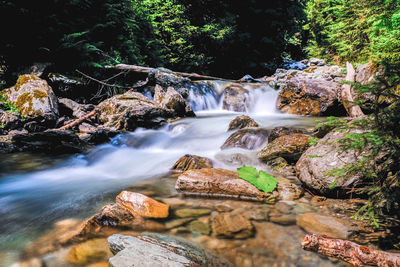 Long exposure of river flowing through forest