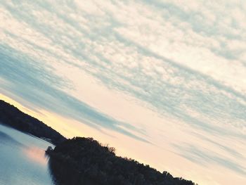 Scenic view of tree against sky