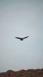 Low angle view of helicopter flying in sky