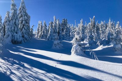 Panoramic view of snow covered field against clear blue sky