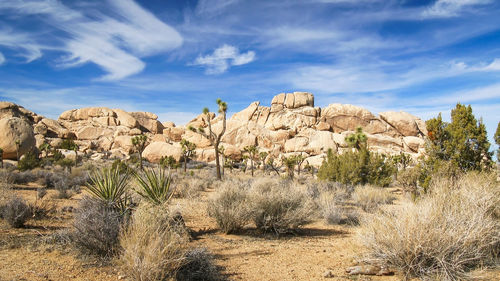 View of rock formations in desert