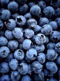 Full frame shot of blueberries