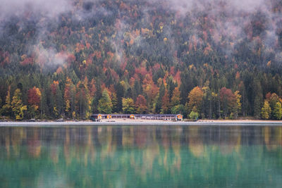 Scenic view of lake in forest during autumn