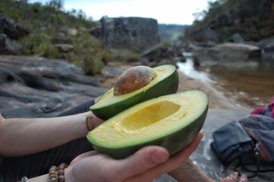 Close-up of man holding a huge avocado
