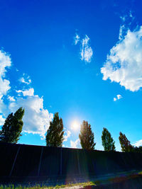 Low angle view of trees against blue sky