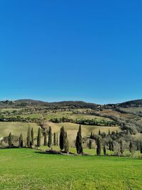 Scenic view of field against clear blue sky