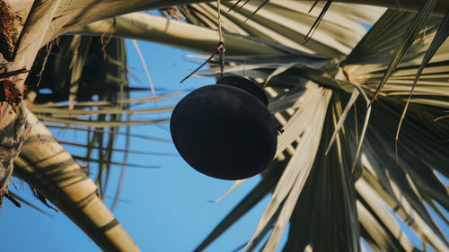 Low angle view of lighting equipment hanging against sky