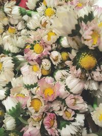 Close-up of flowers