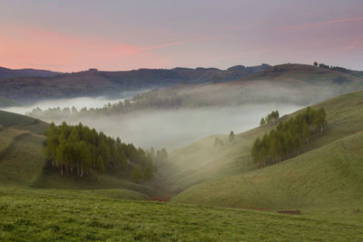 Scenic view of landscape against sky during foggy weather