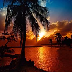 Silhouette of trees by sea against dramatic sky