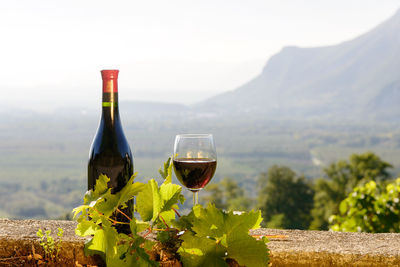 Close-up of grapes in vineyard against mountain range