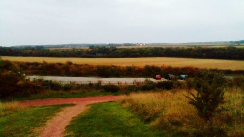 Scenic view of grassy field by lake against sky