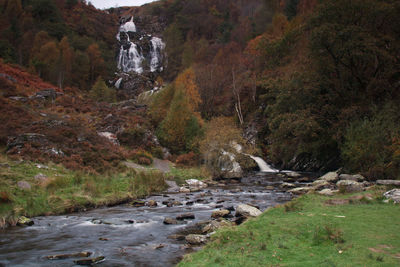 Stream flowing through rocks in forest