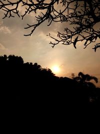 Silhouette trees on landscape against sunset sky