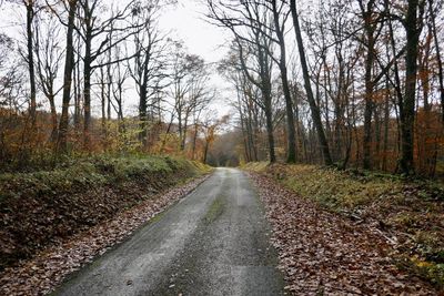 Road amidst trees in forest