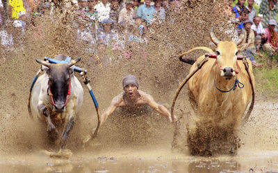 Group of people running in water