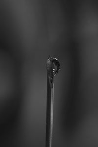 Close-up of water drops on metal