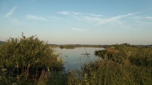 Scenic view of lake against sky