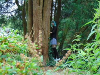 Man standing by tree trunk in forest