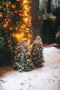 Close-up of christmas tree