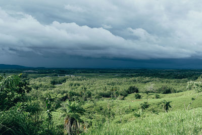Scenic view of landscape against sky