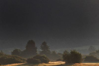 Silhouette trees on landscape against sky at night