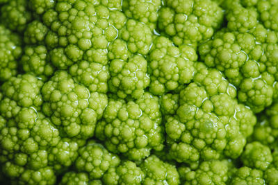 Full frame shot of green beans