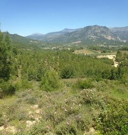 Scenic view of landscape and mountains against sky